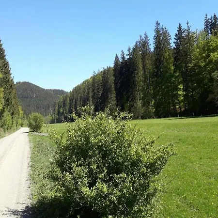 Rustikales Medebach-ski-retreat, Cleaning Included Daire *