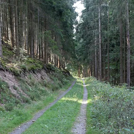 Rustikales Medebach-ski-retreat, Cleaning Included Daire